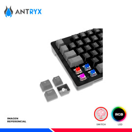 TECLADO MECANICO TKL ANTRYX MK840L BLACK, SWITCH RED